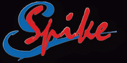 Спайк